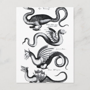 Carte Postale Quatre types de dragon