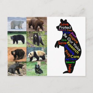 Carte Postale Que pouvez-vous faire pour aider ?