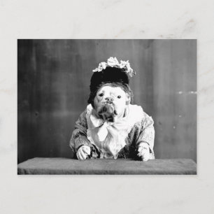 Carte postale Queen Bulldog