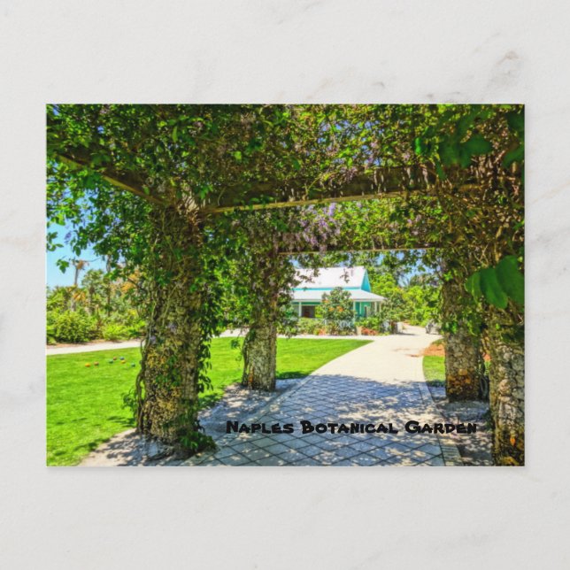 Carte Postale Queen's Wreath Naples Jardin botanique, Floride (Devant)
