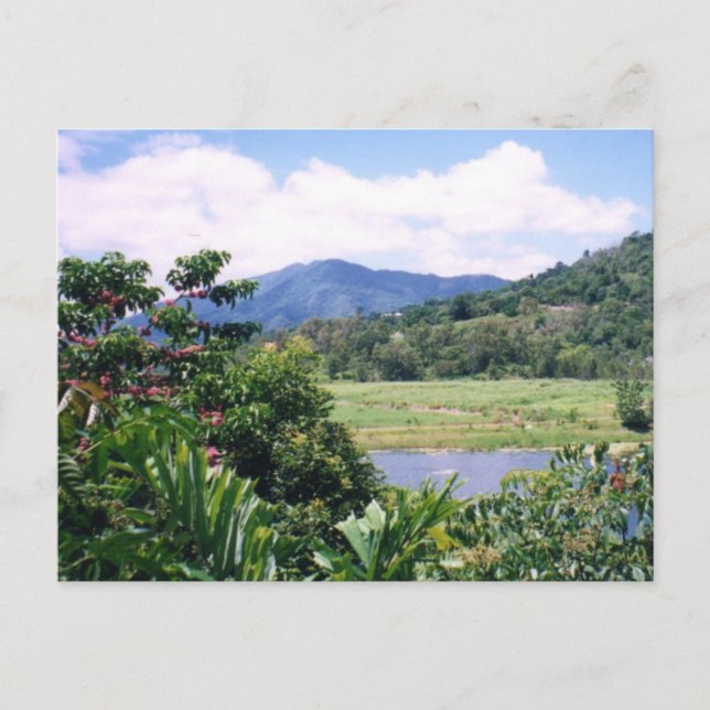 Carte Postale Queensland (Devant)