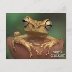 Carte Postale qu'est-ce qui craque ?