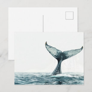 Carte Postale Queue de baleine sortant de l'océan Petit