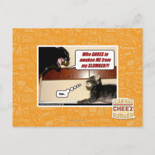 Carte Postale Qui ose me réveiller ?