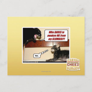 Carte Postale Qui ose me réveiller ?