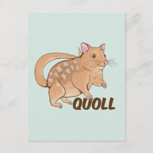 Carte Postale Quoll Australian Marsupial