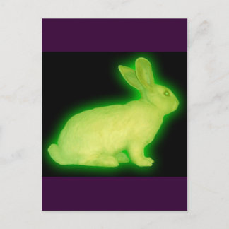 CARTE POSTALE RABBIT DE RADIATION