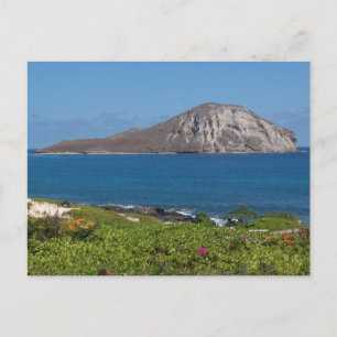 Carte Postale Rabbit Island Oahu Hawaii