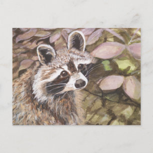 Carte postale Raccoon