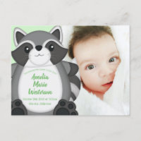 Raccoon Baby shower Woodland
