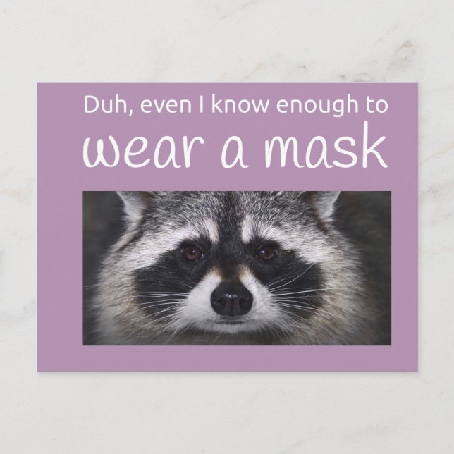 Carte Postale Raccoon Covid demande le Masque par Funnycomb (Devant)