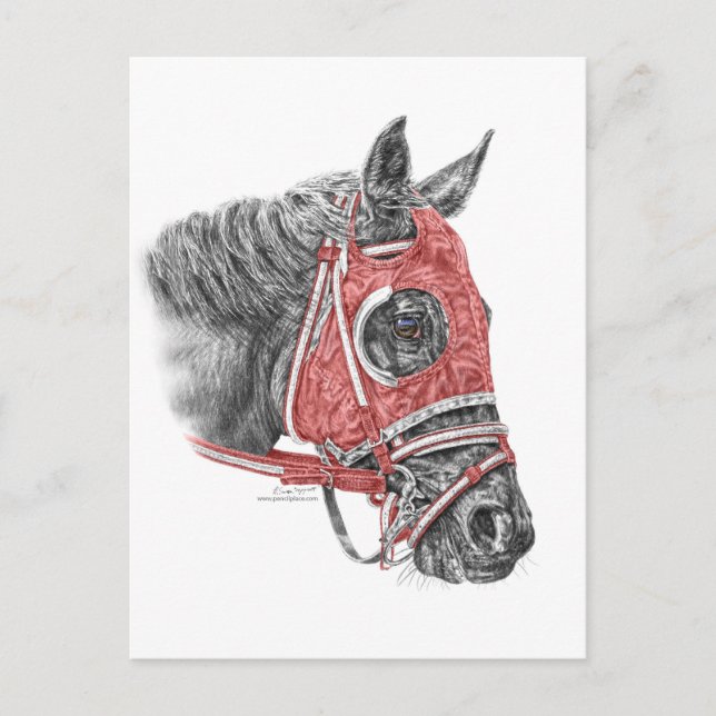 Carte Postale Race Horse Portrait Soies (Devant)