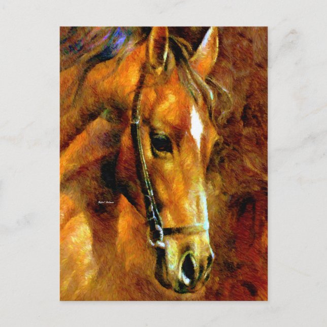 Carte Postale race pure (Devant)