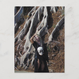 Carte postale Racines amplifiées