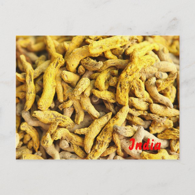 Carte Postale Racines curcumiques (Devant)
