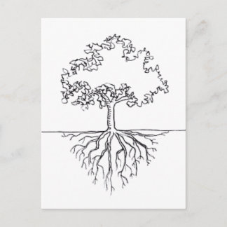 Carte Postale Racines de l'arbre