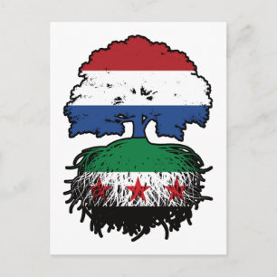 Carte Postale Racines et couronne de l'arbre syro-néerlandais