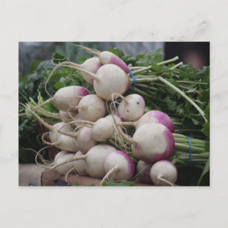 Carte Postale Radis