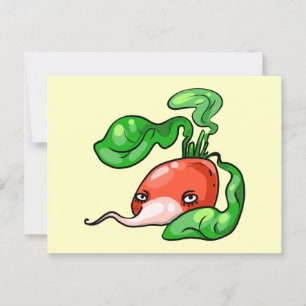 Carte Postale Radish