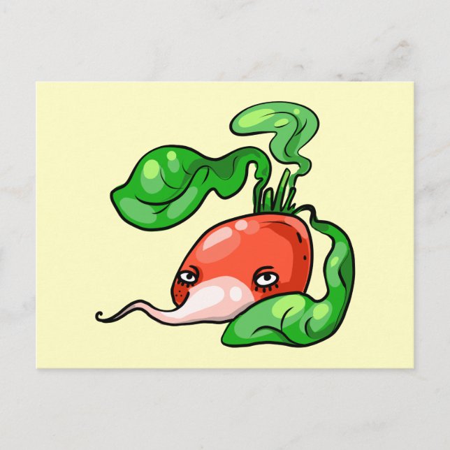 Carte Postale Radish (Devant)