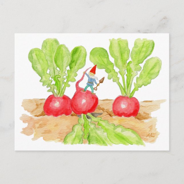Carte postale Radish Garden Gnome (Devant)