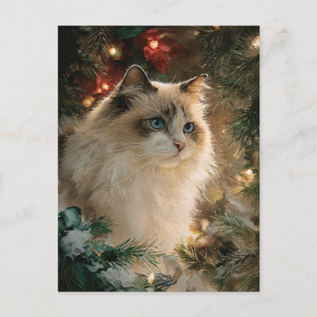 Carte Postale Ragdoll Cat Christmas (Devant)