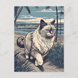 Carte Postale Ragdoll-Cat sur une plage tropicale au coucher du 
