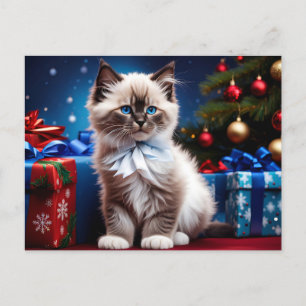 Carte Postale Ragdoll Kitten cadeau de Noël