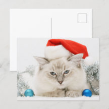 Ragdoll portant le chapeau du Père Noël