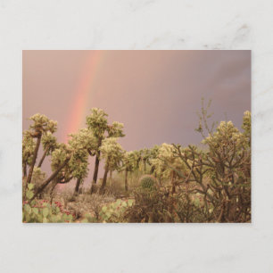 Carte postale Rainbow Desert