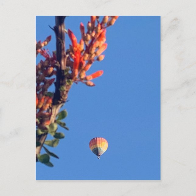 Carte Postale Rainbow Hot Air Balloon Nouveau-Mexique (Devant)