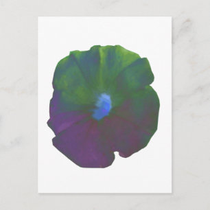 Carte postale Rainbow Petunia