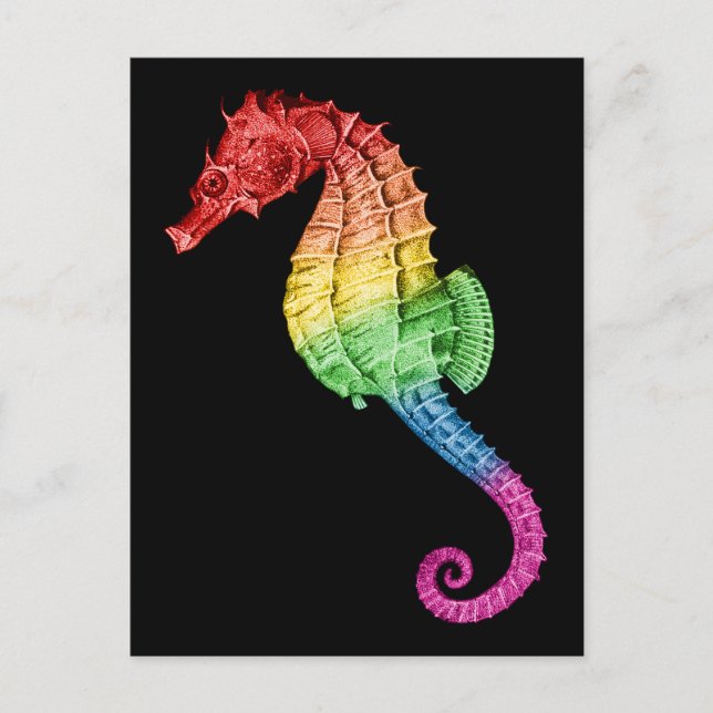 Carte Postale Rainbow Seahorse (Devant)