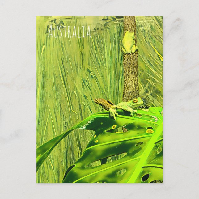 Carte Postale Rainette verte Grenouille australienne (Devant)