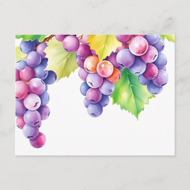 Carte Postale Raisins aquarelle sur fond blanc propre (Devant)