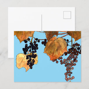 Carte Postale Raisins de givre Art nouveau