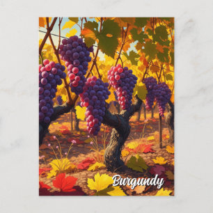 Carte Postale Raisins en Bourgogne France Voyage