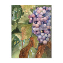 Raisins, fruit de la vigne