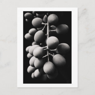 Carte Postale raisins pour une journée maussade
