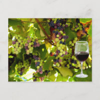 Raisins pourpres poussant sur la vigne avec Winegl