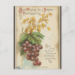 Carte Postale Raisins vintages et Thanksgiving Feuille