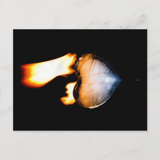 Carte postale rallumée