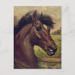 Carte Postale ranch de chevaux de ferme randonnée sports équestr