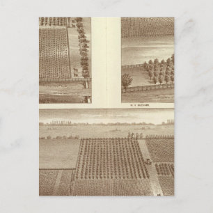 Carte Postale ranch de Lemoore