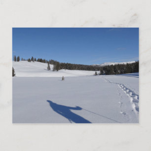Carte Postale Randonnée à neige dans le parc national Yellowston