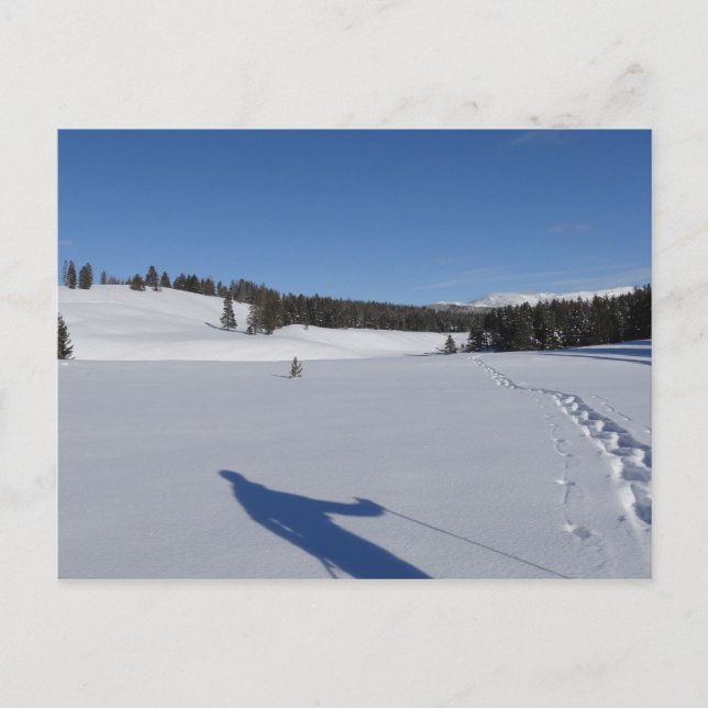 Carte Postale Randonnée à neige dans le parc national Yellowston (Devant)