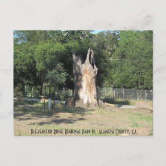 Carte Postale Randonnée à Pleasanton, CA 6