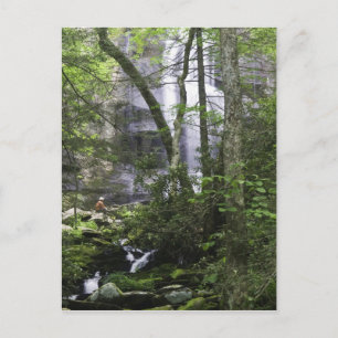 Carte Postale Randonneur admire Falls Branch Falls