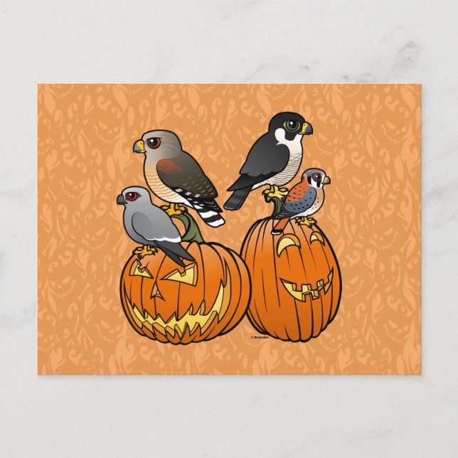 Carte Postale Rapaces Birdables sur les Citrouilles (Devant)