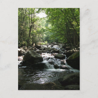 Carte Postale Rapides